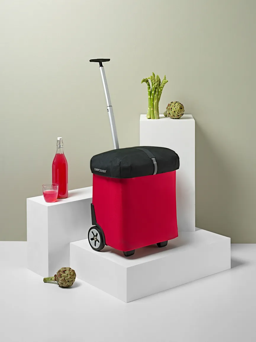 Carrycruiser Cover "black" milieu