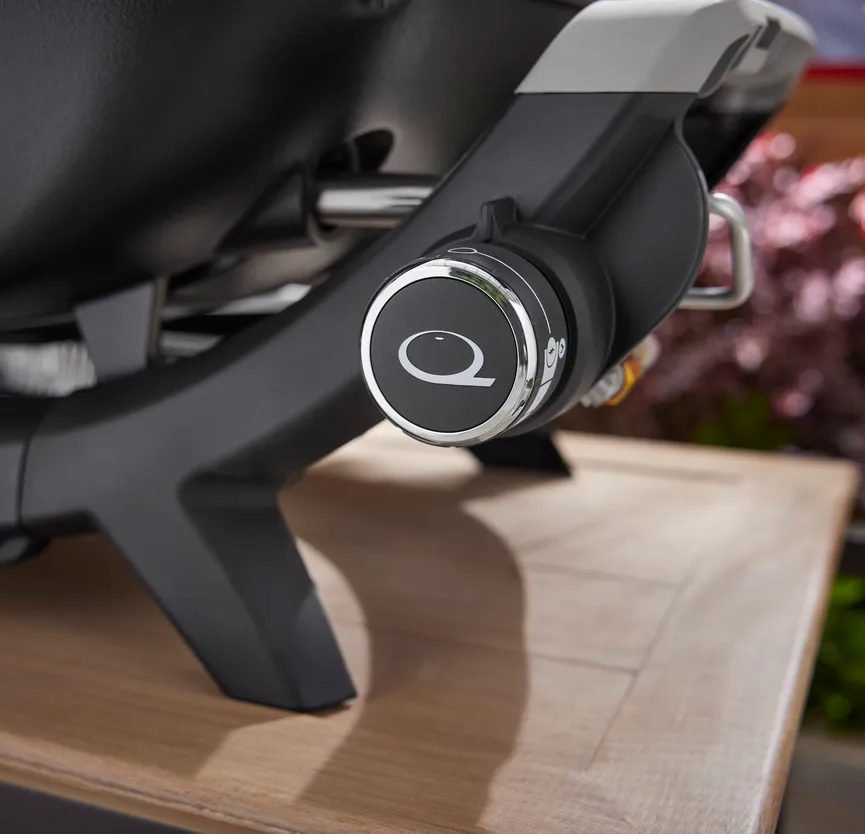 Weber Q2100N detail