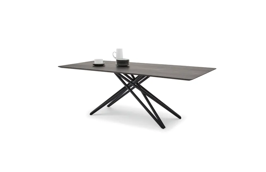 Esstisch 6801 detail