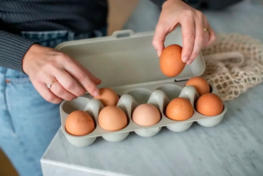 Eierbox M sand milieu