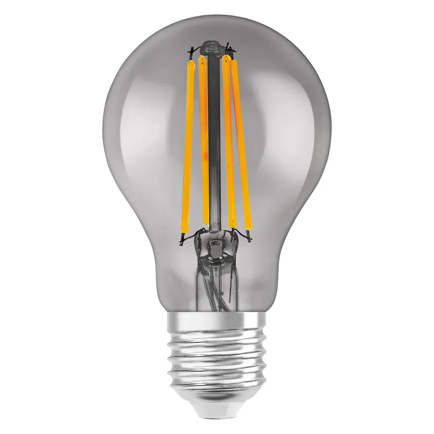 E27/6W LED Birne hauptaufnahme