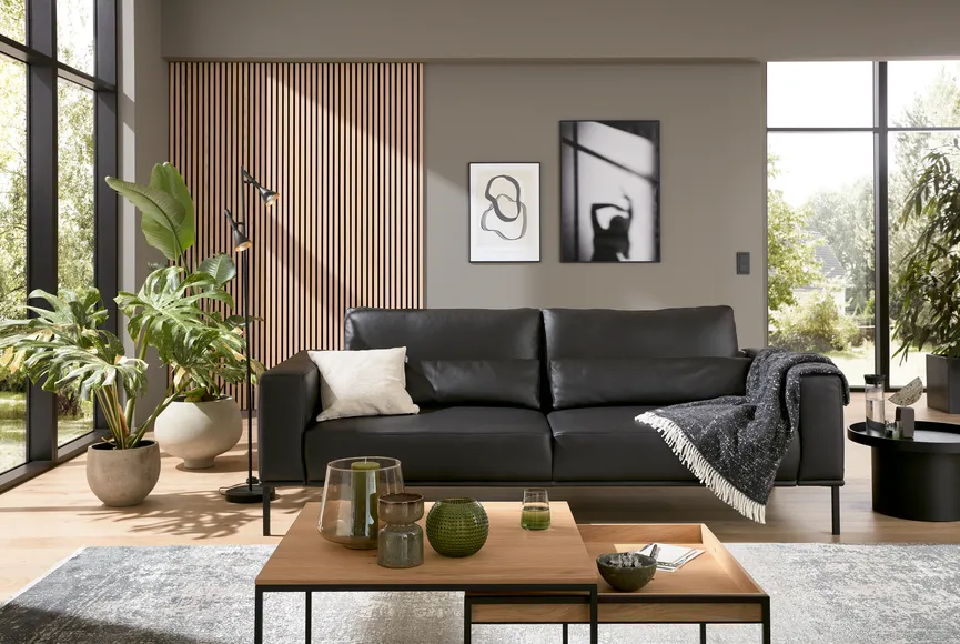 3erXL (23062) milieu