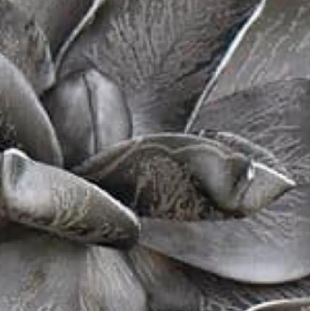 material_farbe