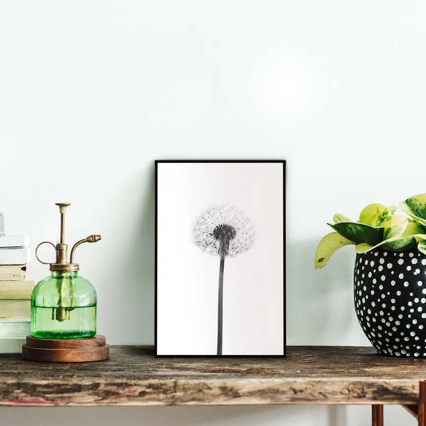 Bild gerahmt "Dandelion Grey" milieu