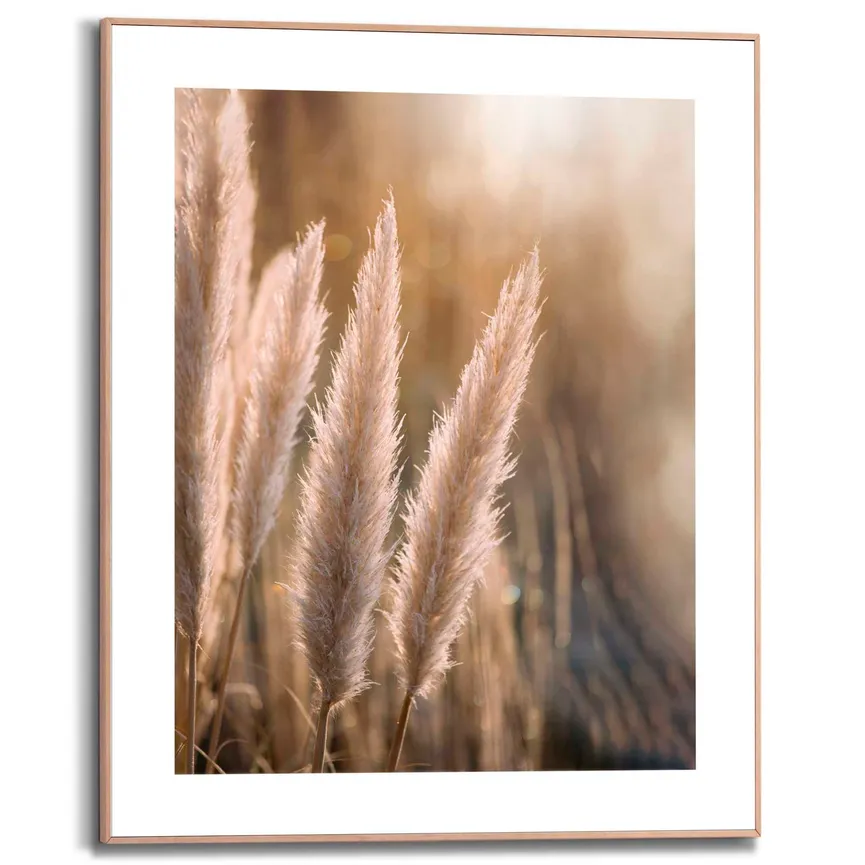 Bild gerahmt "Sunset Grasses" hauptaufnahme