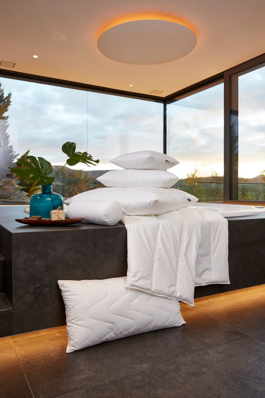 Ganzjahresbett Clima Soft milieu