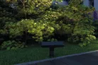 milieu