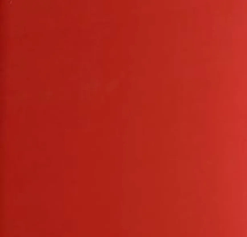 Treteimer Paso 40 l rot metal. material_farbe