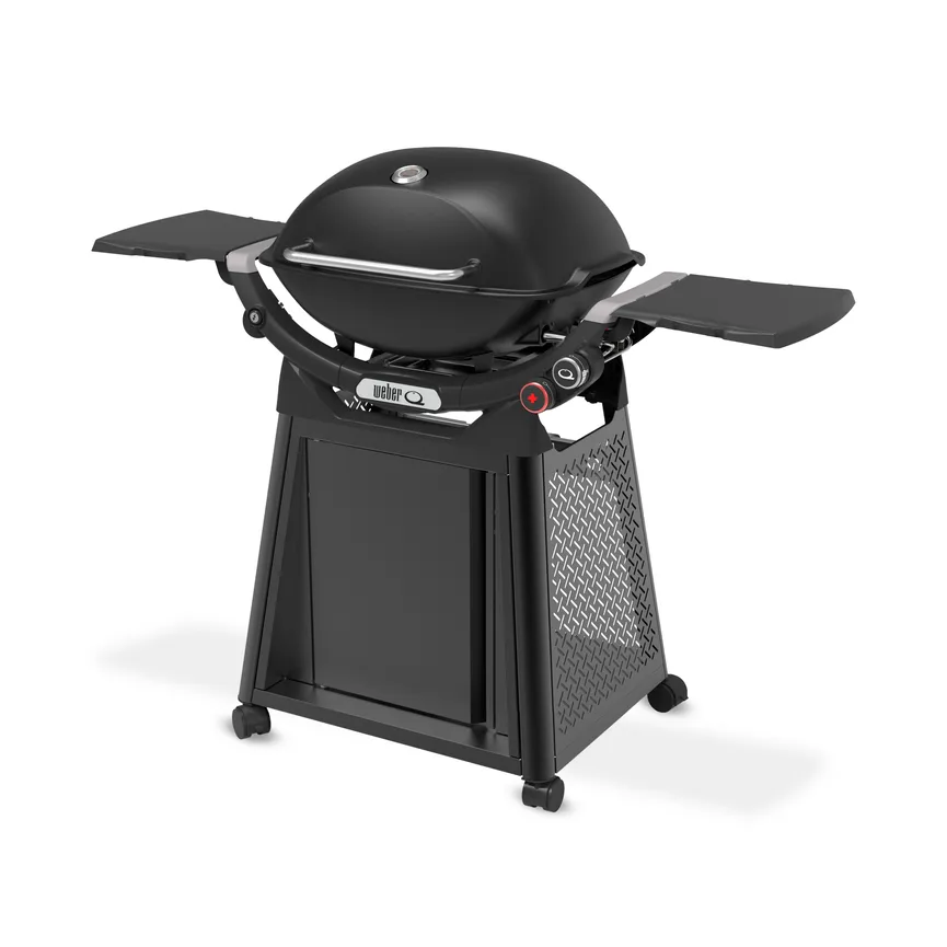 Weber Q2800N+ detail