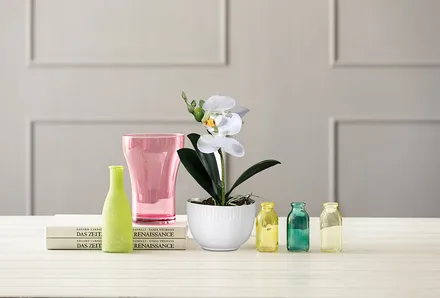 Orchideen image