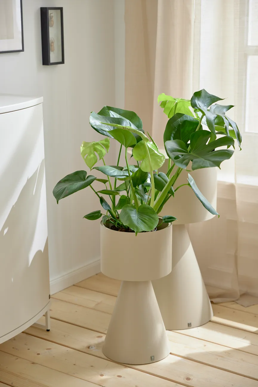 Pflanzenständer S detail