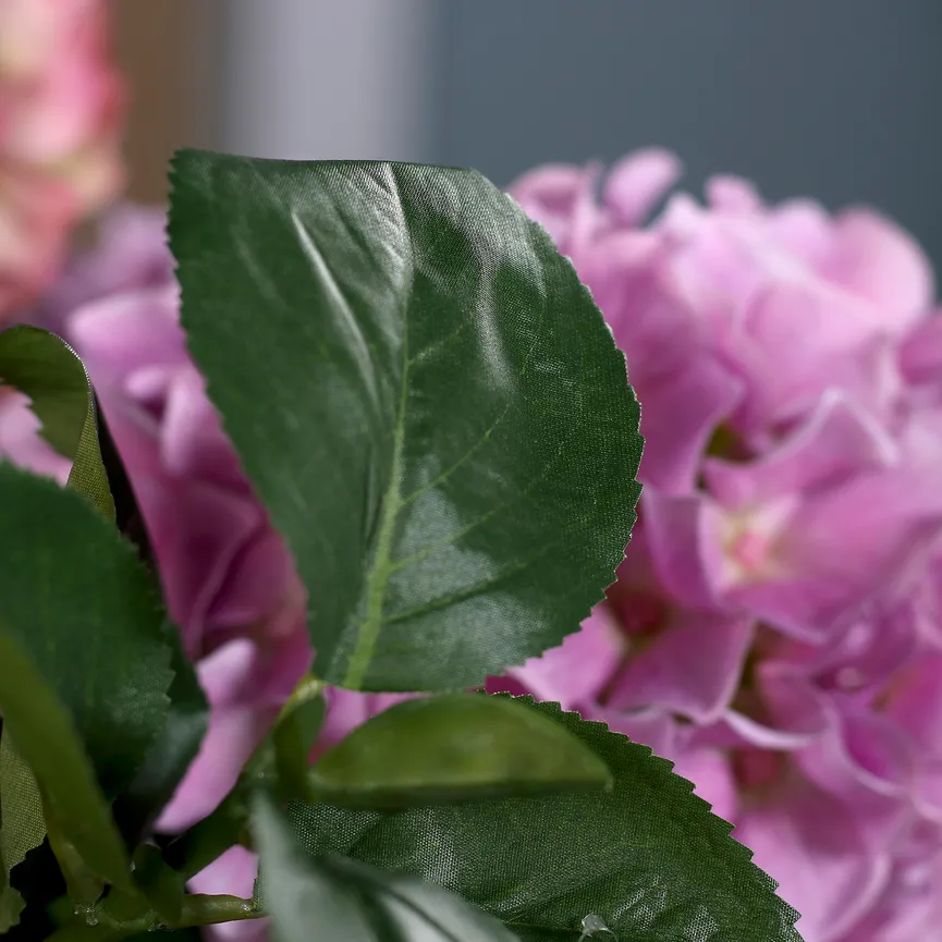 Premium Hortensien-Arrangement detail