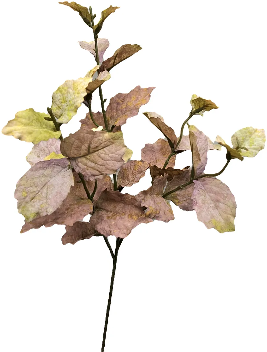 Buchenlaubzweig "Herbst" hauptaufnahme