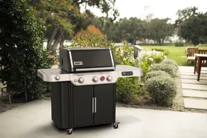 Gasgrill