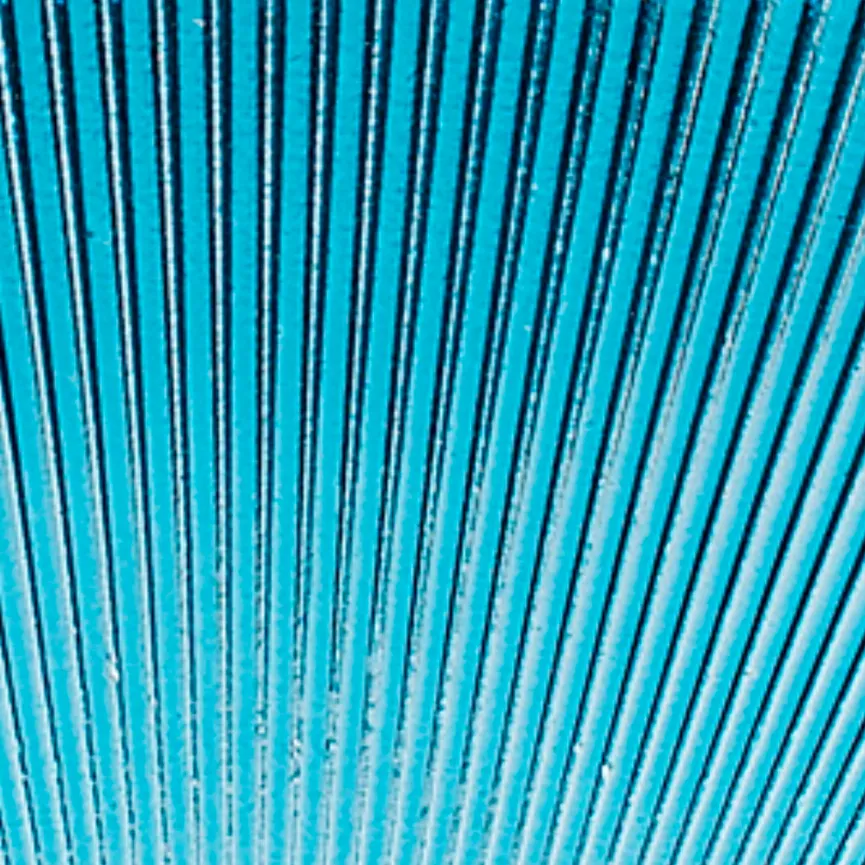 Schale "Birdie" S hellblau material_farbe