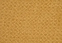 Mustard material_farbe