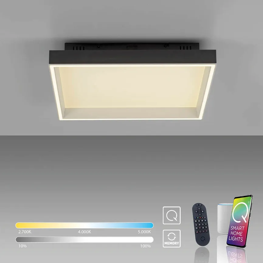 Deckenleuchte "Q-Magong" detail