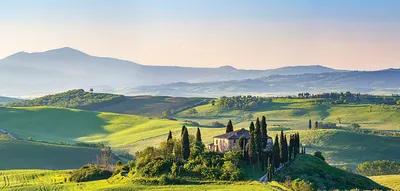 Wandbild 55 x 115 cm