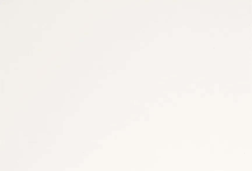 Hochbett LF 90x200 cm material_farbe