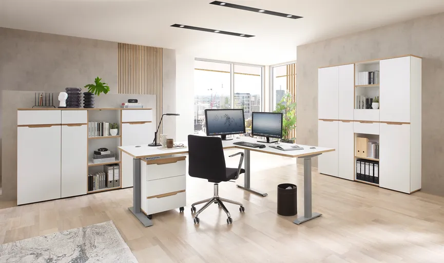 Büroschrank milieu