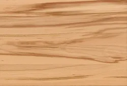 Kernbuche material_farbe