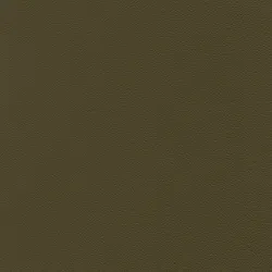 Olive material_farbe