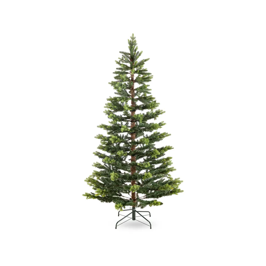 Tannenbaum L hauptaufnahme