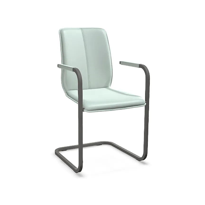 AL-Freischwinger Tara 824-A material_farbe