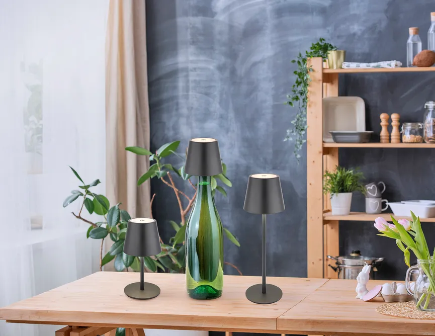 Akku-Tischleuchte "Vannie I" milieu