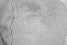 material_farbe