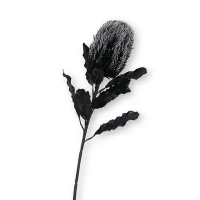 Kunstblume