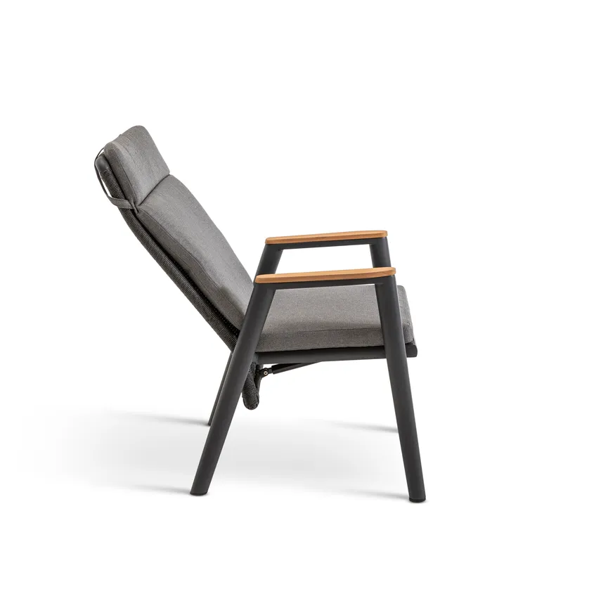 Dining Sessel detail