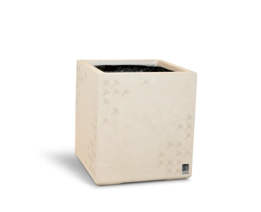 Pflanzwürfel "Joop Cubic" hauptaufnahme