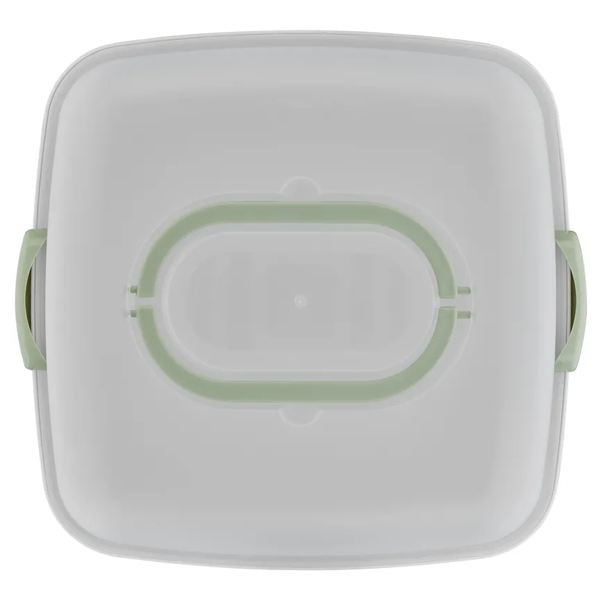 Kuchentransportbox eckig grün detail