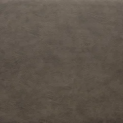 Mushroom material_farbe