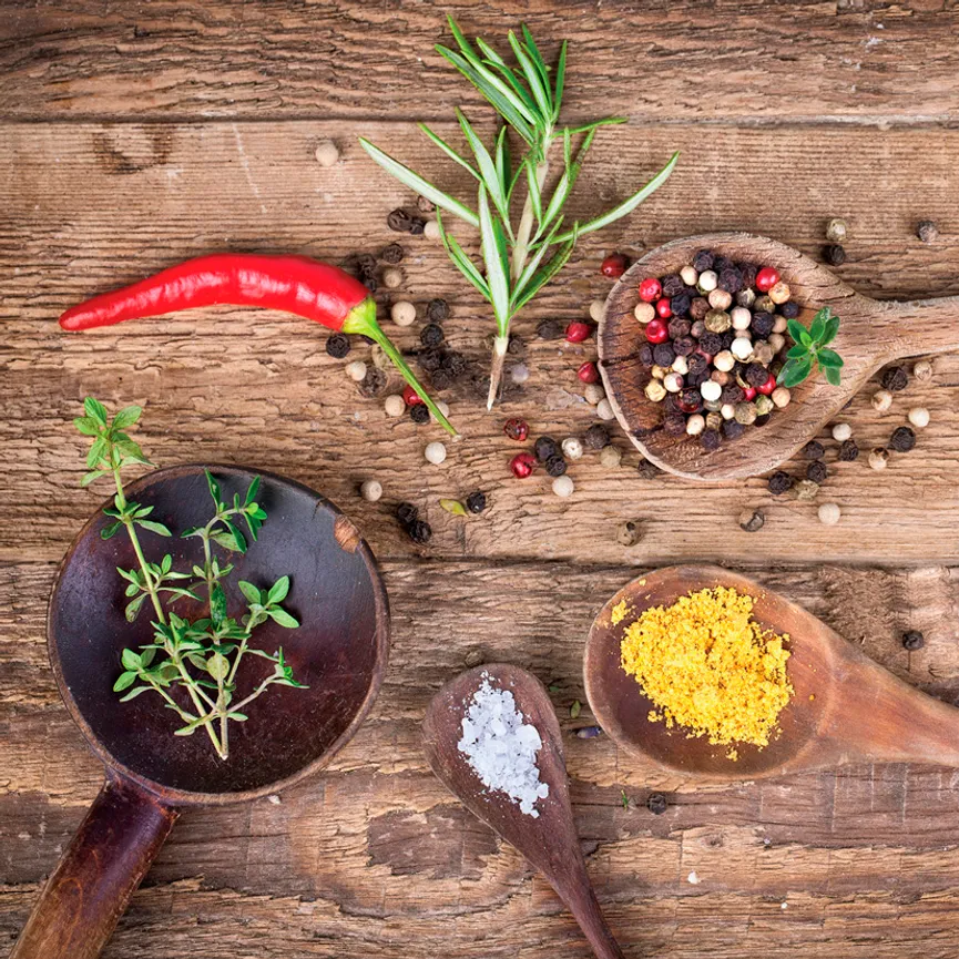 Küche - Herbs of Provence II hauptaufnahme