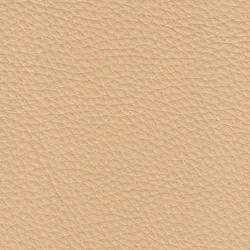 Cream material_farbe