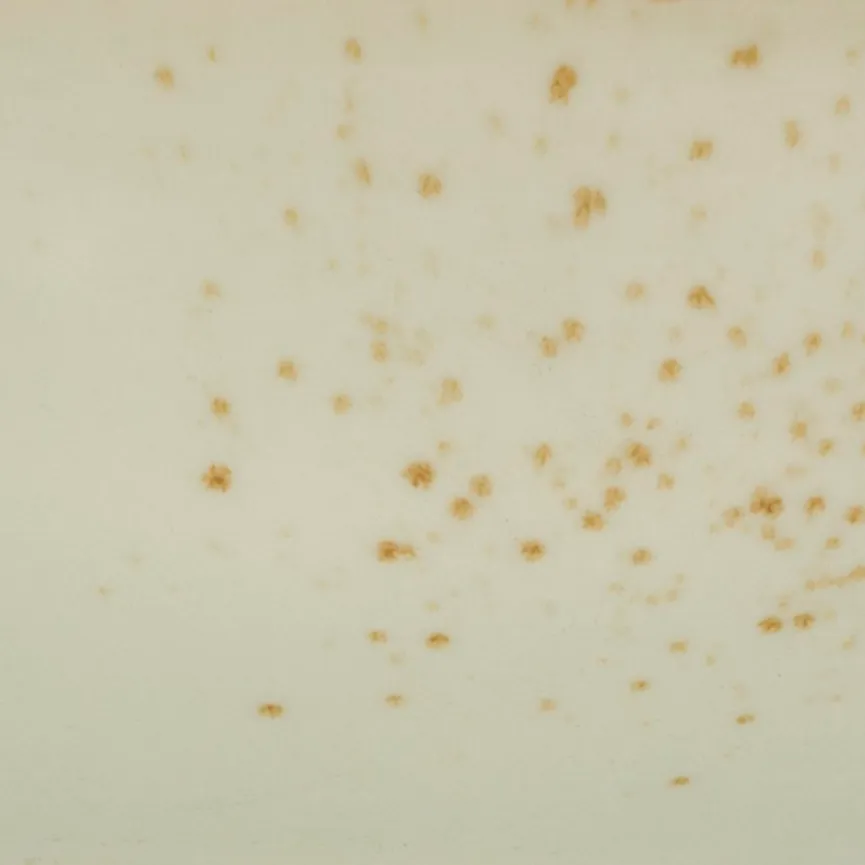 Müslischale material_farbe