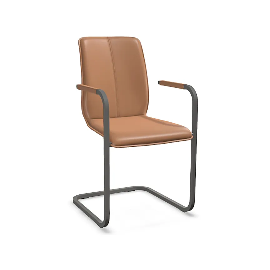 AL-Freischwinger Tara 824-A material_farbe