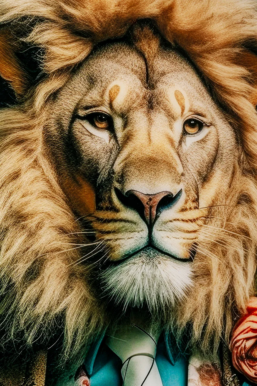 Glasbild Lion detail