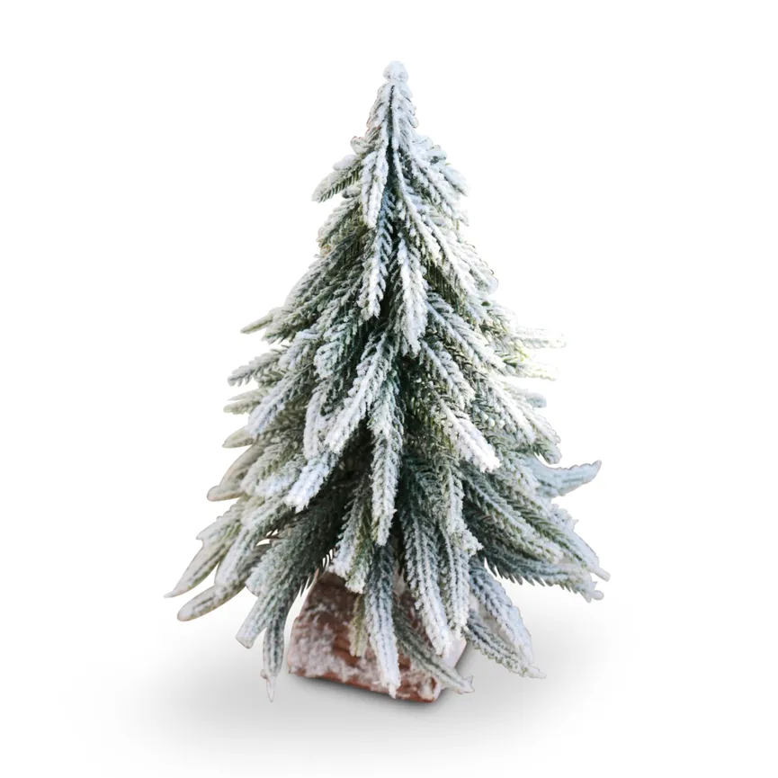 Tannebaum mit Schnee hauptaufnahme