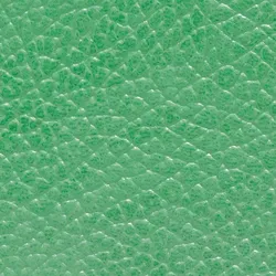 Forest material_farbe