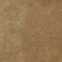 Beige material_farbe
