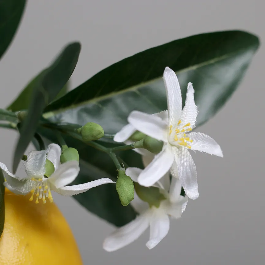 Premium Zitronen-Arrangement detail