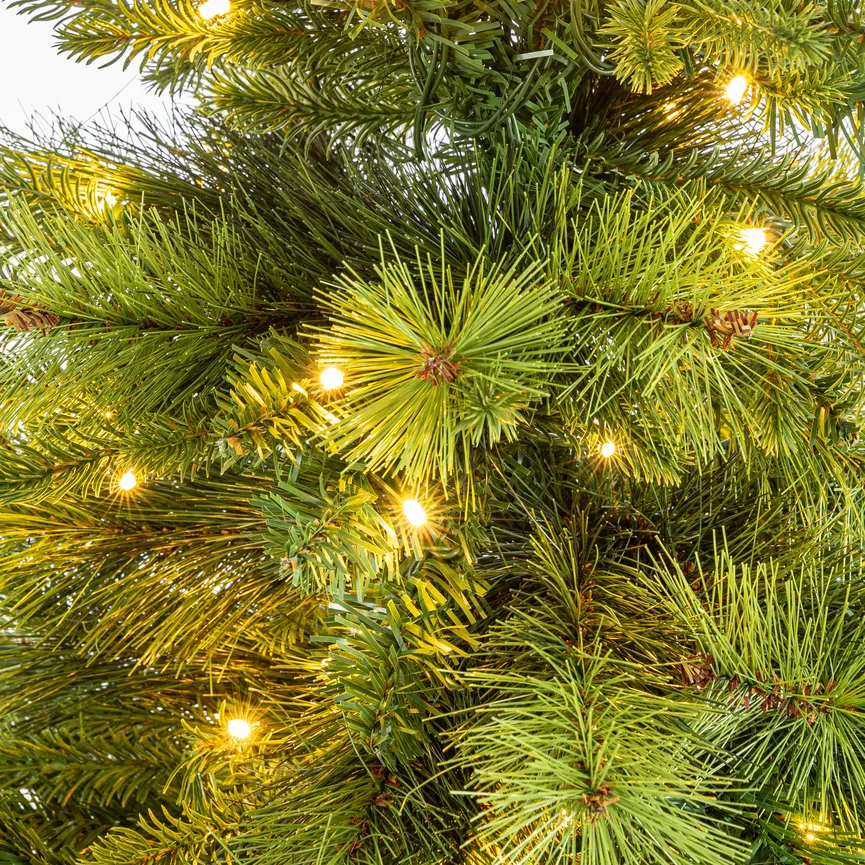 Tannenbaum S grün detail