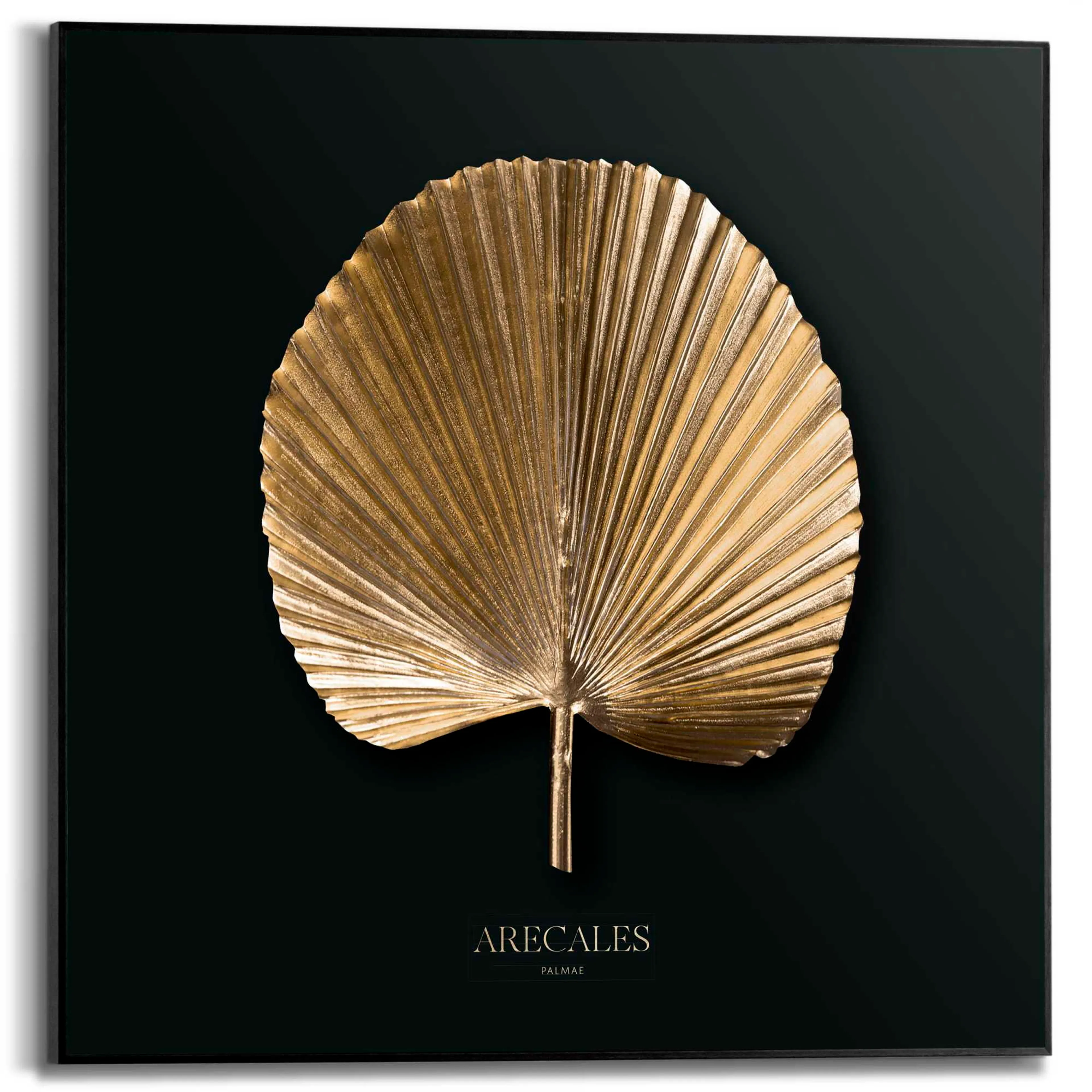 Wandbild 50 x 50 cm Areca Gold