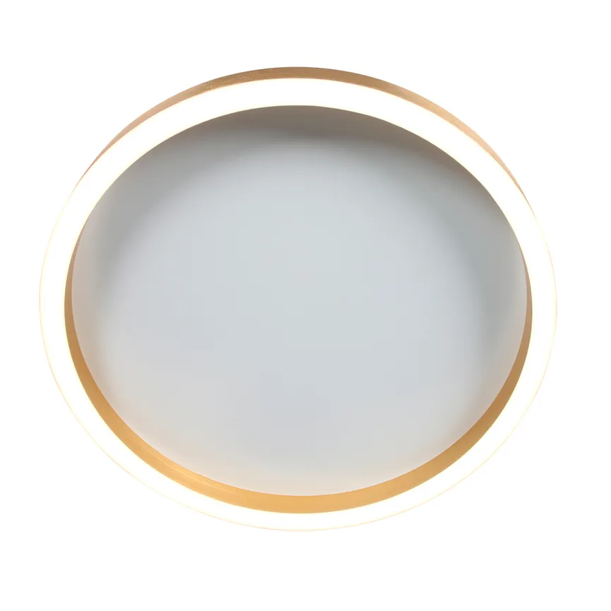 Deckenleuchte "Ringlux" detail