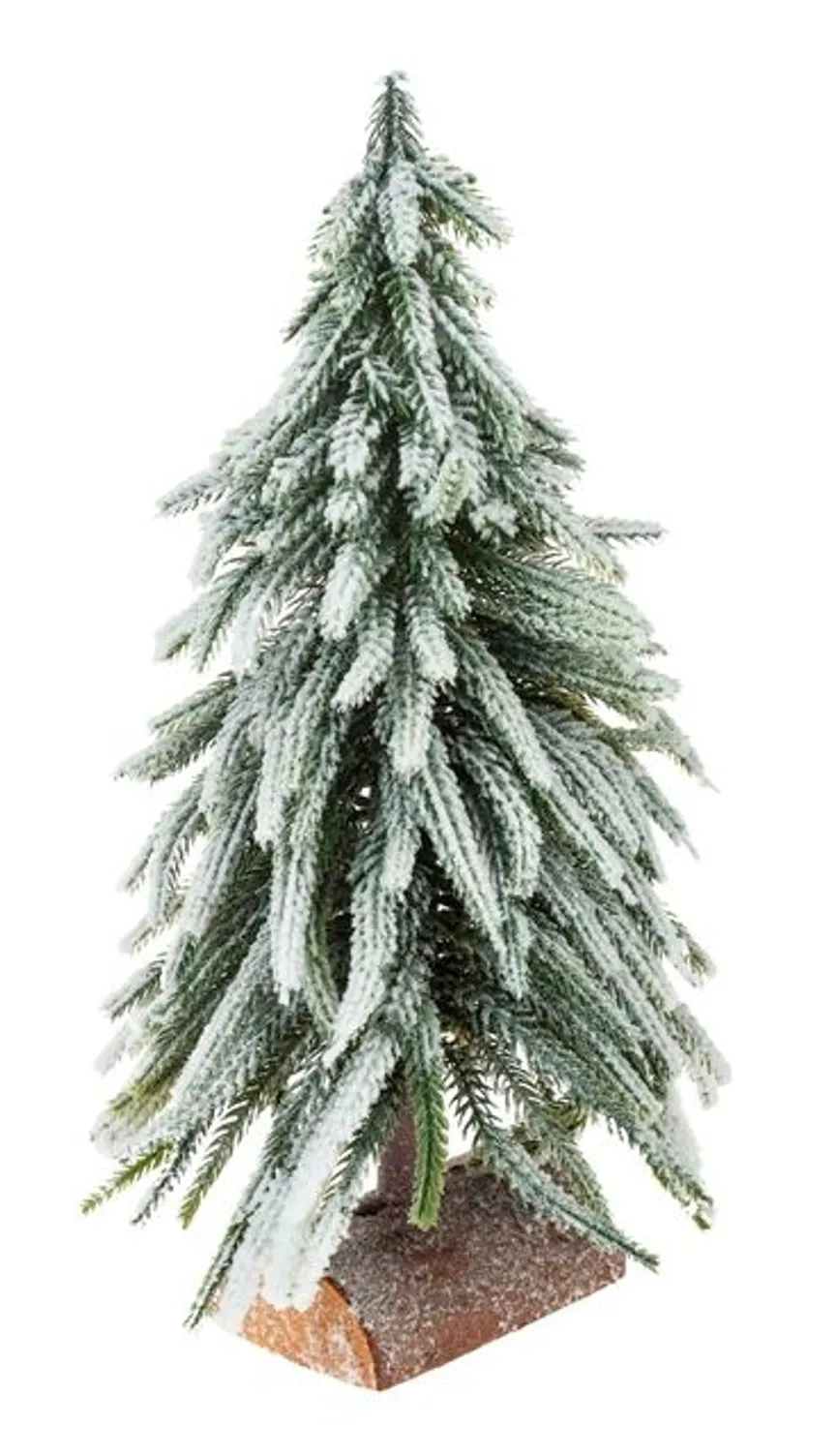 Tannbaum mit Schnee hauptaufnahme