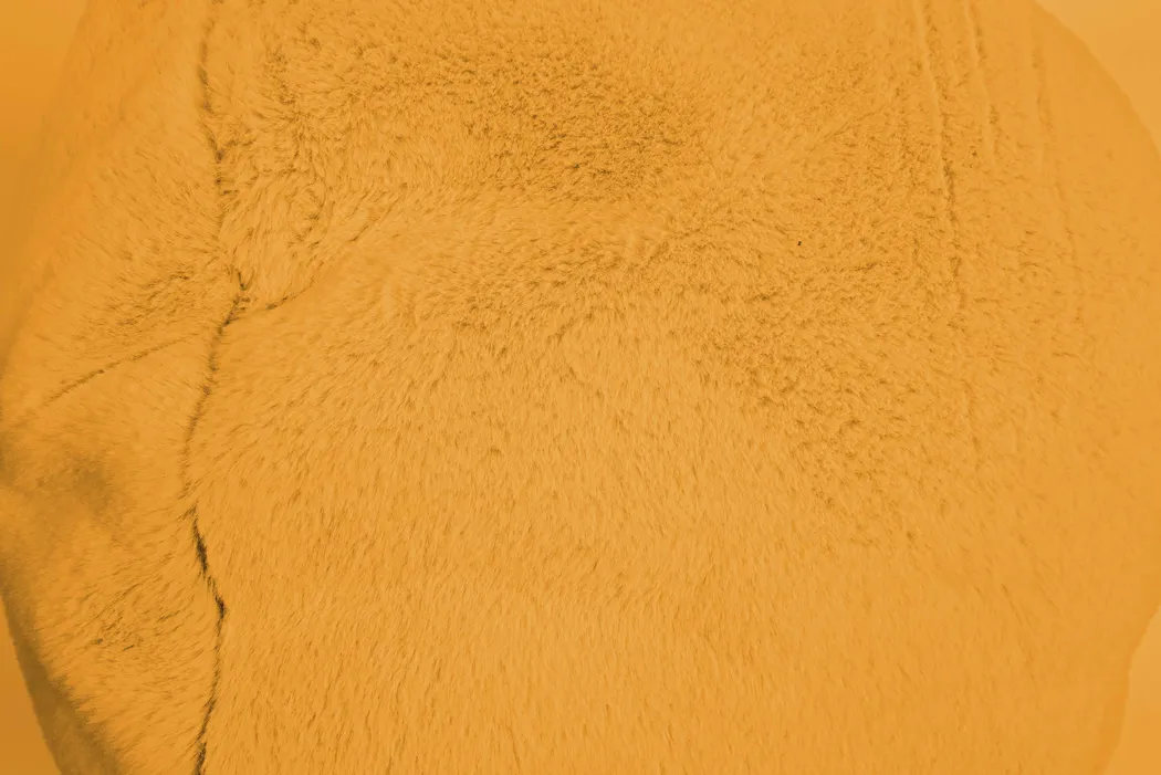 material_farbe