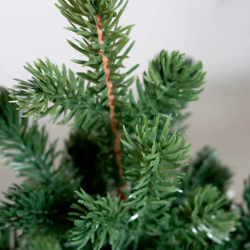 Tannenbaum S detail